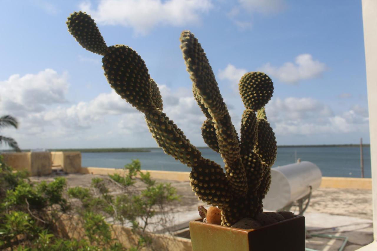 Kijani Hotel Lamu Bagian luar foto